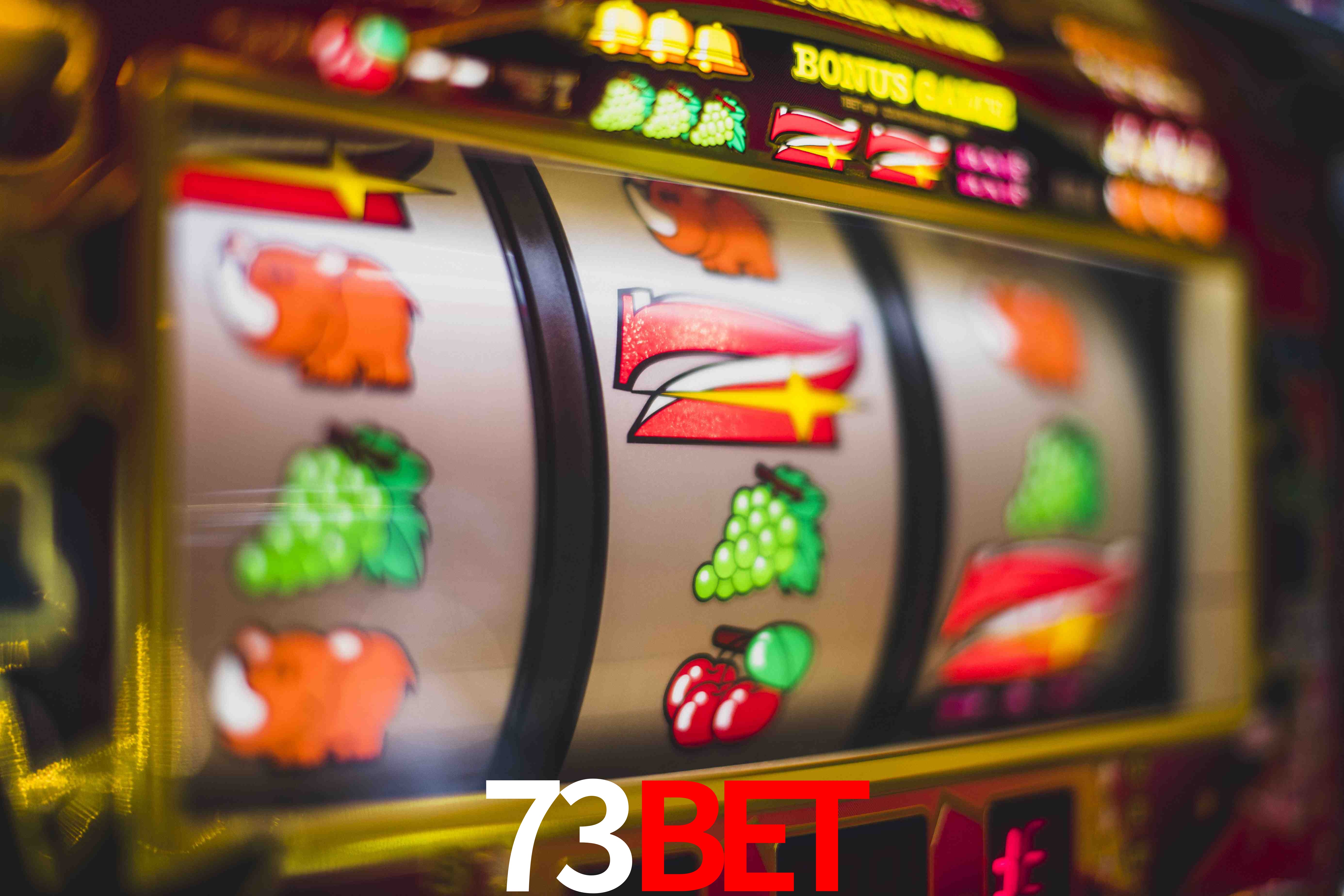 Statistics 73BET